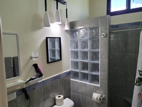 a bathroom with a shower and a toilet and a mirror at Luxury Posada inn in Los Amates