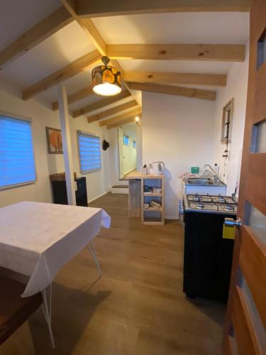 een keuken met een tafel en een aanrecht in een kamer bij Cactu in Viña del Mar