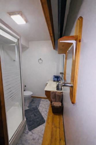 a bathroom with a shower and a sink and a toilet at Bujaks in Inuvik