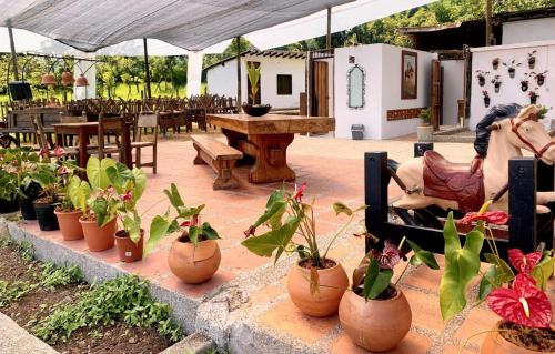 une femme assise sur une chaise à côté d'un tas de plantes en pot dans l'établissement Finca Hotel El Juncal, à Venecia