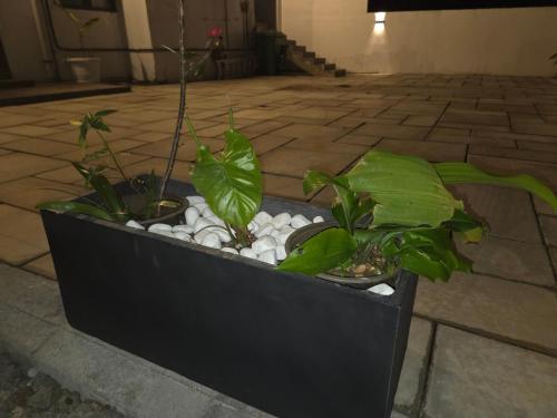 En have udenfor The Palms Property