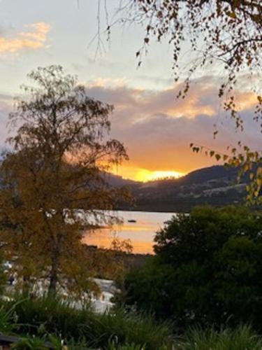 a sunset over a body of water with a tree at Convent Franklin - Schoolhouse Apartment in Franklin