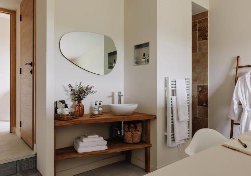 a bathroom with a sink and a mirror at GiteLaGrange in Lalanne-Arqué