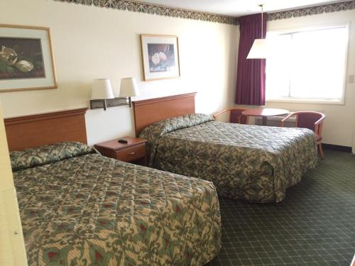a hotel room with two beds and a window at Economy Inn Dillon in Dillon