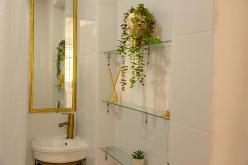 een badkamer met een toilet en een spiegel en planten bij Casa Nido Bacalar in Bacalar