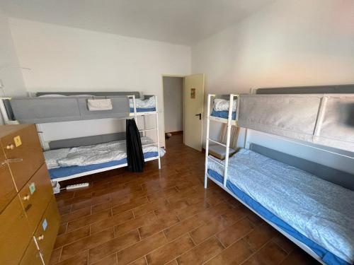 een kamer met 2 stapelbedden en een houten vloer bij OPA Hostel Milfontes in Vila Nova de Milfontes