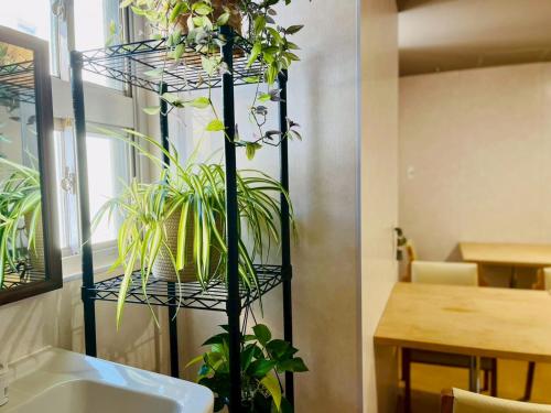 een zwarte plantenstandaard met planten erop naast een wastafel bij Yuzawa house2 in Yuzawa