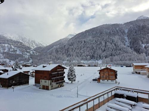 Příroda nedaleko apartmánu