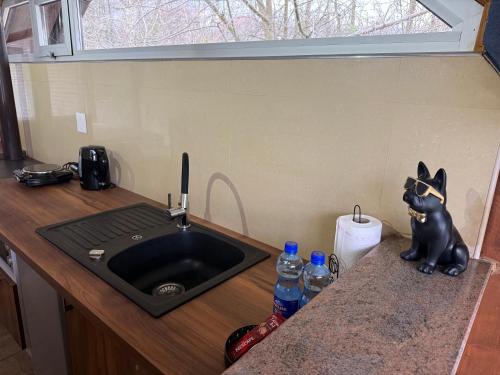 a kitchen counter with a sink and a cat statue at Venero - Apartmani in Dubrave Gornje