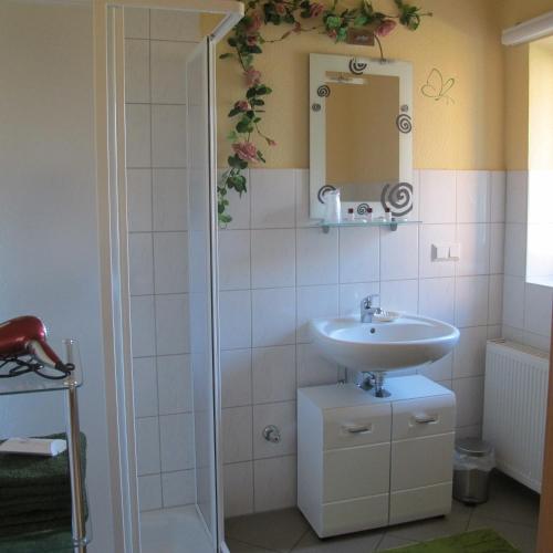 a bathroom with a sink and a mirror at Ferienwohnungen Pustane in Neu Zauche