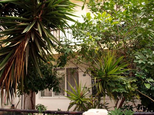 イエラペトラにあるPopy Apartmentsの木々と植物が目の前に広がる建物