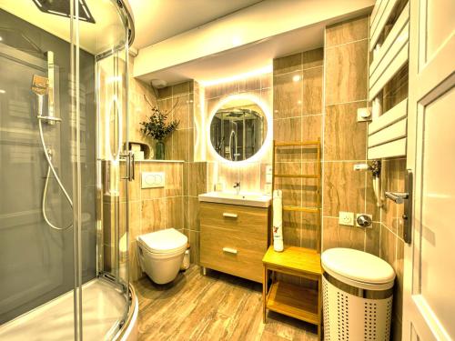 a bathroom with a shower and a toilet and a sink at Au Beau Duplex de la Basilique in Boulogne-sur-Mer