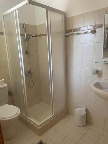 ein Badezimmer mit Dusche, Toilette und Waschbecken in der Unterkunft Villa Midas in Zóla