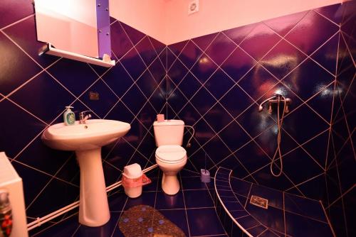 a bathroom with a toilet and a sink at Vila Belvedere in Haţeg