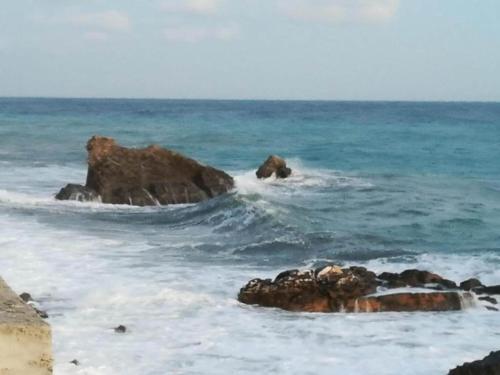 Naturlandskabet i nærheden af feriehuset
