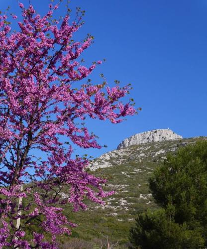 Le Guétali du Garlaban