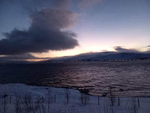 Naturlandskabet i nærheden af feriehuset