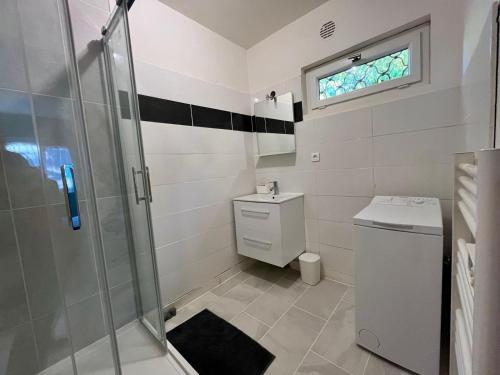 a bathroom with a shower and a toilet and a sink at Maison David in Le Buis