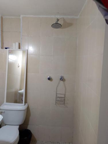 a bathroom with a toilet and a mirror and a shower at Loft en Casa Jasso! in Guanajuato