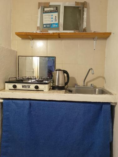 a kitchen counter with a stove and a sink at Loft en Casa Jasso! in Guanajuato