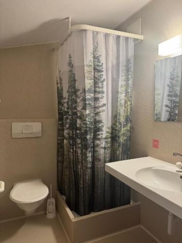 a bathroom with a shower curtain with a toilet and a sink at NRAR Hotel Hirschen in Beromünster