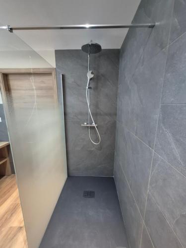 a shower in a bathroom with a gray wall at Maison Gite Le Randonneur in La Bresse