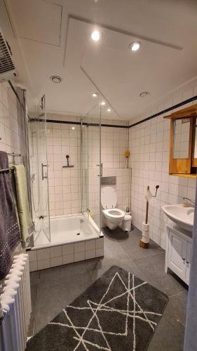 a bathroom with a tub and a toilet and a sink at Luessishausen im Lüsserttal mit 140m2 und DSL in Feilbingert