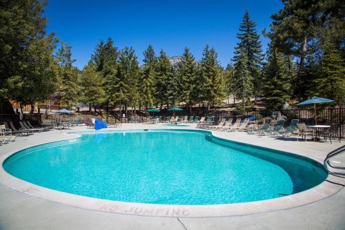 une grande piscine avec des chaises et des arbres dans l'établissement Idyllwild Camping Resort Cottage, à Idyllwild