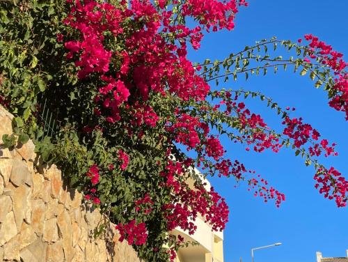 Hilltop Apartment Alvor