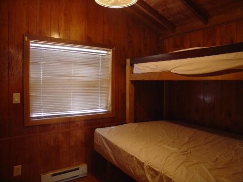 1 Schlafzimmer mit 2 Etagenbetten und einem Fenster in der Unterkunft Idyllwild Camping Resort Cabin in Idyllwild
