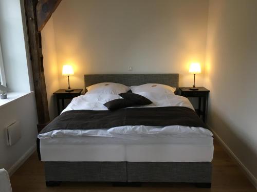 a bedroom with a bed with pillows and two lamps at Am Deich 13 in Kollmar