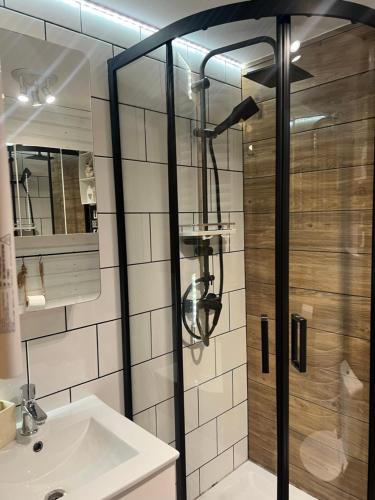 een badkamer met een douche en een wastafel bij Czerwony Kominek in Lutek