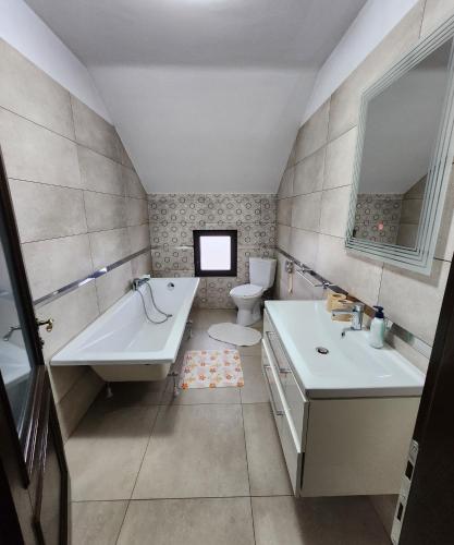 een badkamer met een bad, een wastafel en een toilet bij Casa CLO in Sighetu Marmaţiei
