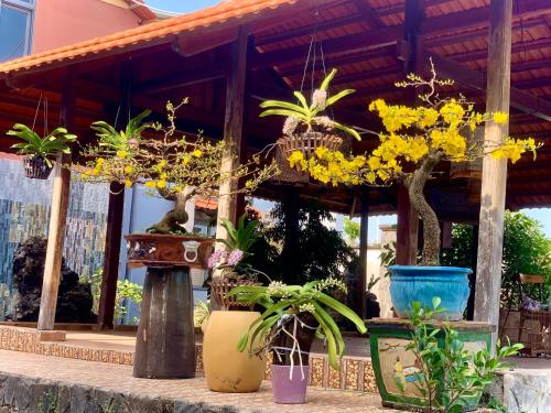 een groep potplanten voor een gebouw bij ML Homestay in Binh Chau