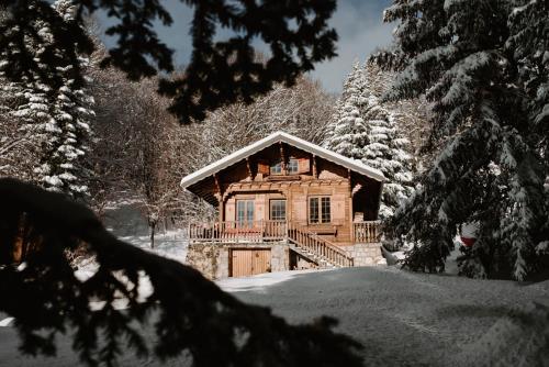 Chalet Clair Bois - La Féclaz avec bain nordique privé