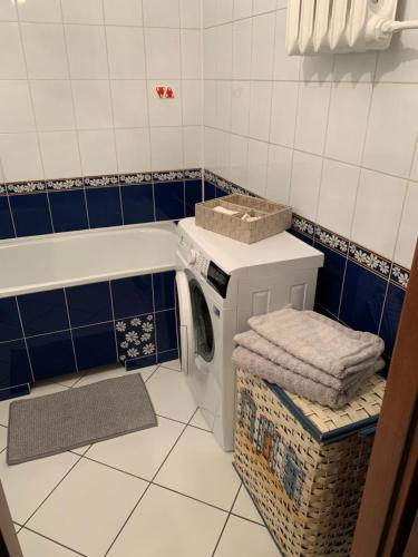 una lavanderia con lavatrice in bagno di Apartament na Wybickiego a Toruń