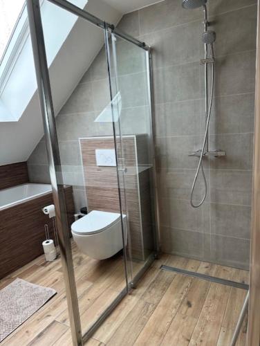 a bathroom with a glass shower with a toilet at 't Veurhuus in Ansen