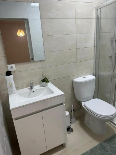 a bathroom with a toilet and a sink and a mirror at Refúgio do Ribeirinho in Paredes de Coura