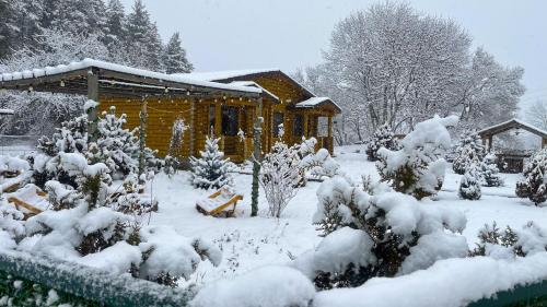 Kingswood Cabins Borjomi v zimě