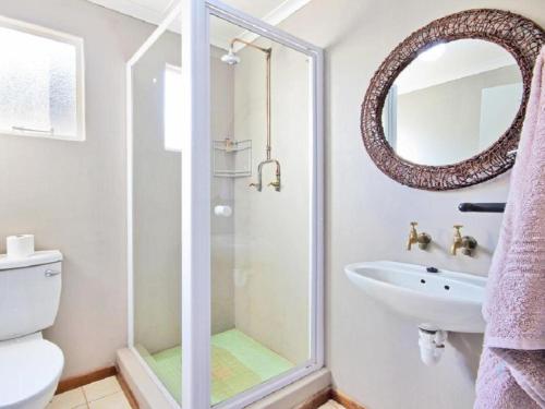 ein Badezimmer mit Dusche, Waschbecken und Spiegel in der Unterkunft Vioolsdrift Lodge in Vioolsdrift