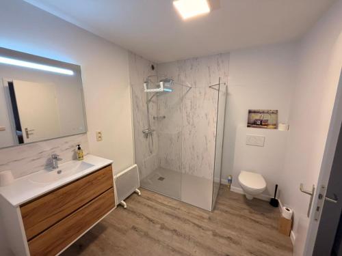 une salle de bains avec douche, lavabo et toilettes dans l'établissement La Louche à Véro, à Ligneuville