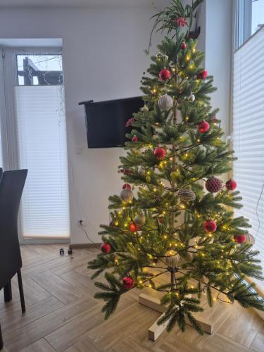 - un arbre de Noël dans le salon dans l'établissement Domek Noclegowy JoWish, à Strachocina