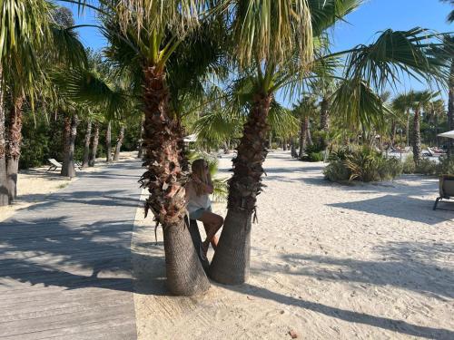 a woman sitting between two palm trees on the beach at Domek na Lazurowym Wybrzeżu in Gassin