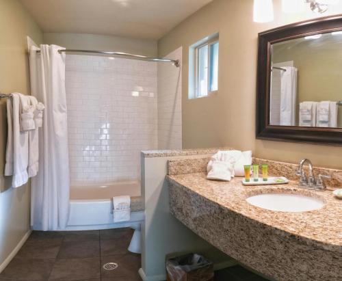 een badkamer met een wastafel, een douche en een bad bij Driftwood Lodge in Springdale