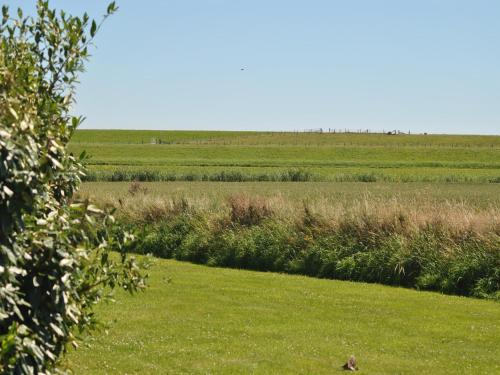 een vogel zittend in het gras in een veld bij Lovely Holiday Home in Texel near Sea in Oost