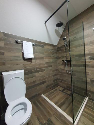 un bagno con wc e doccia di Highlander guesthouse a Žabljak