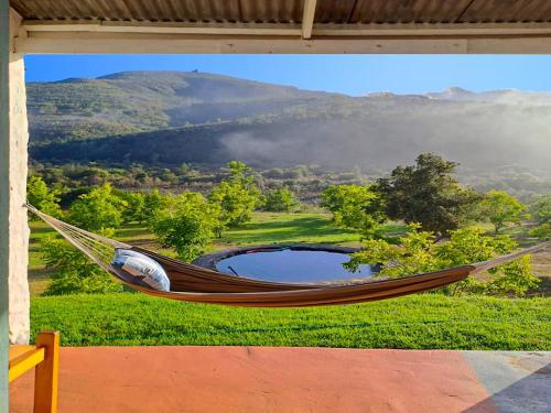 Naturlandskabet i nærheden af lejligheden