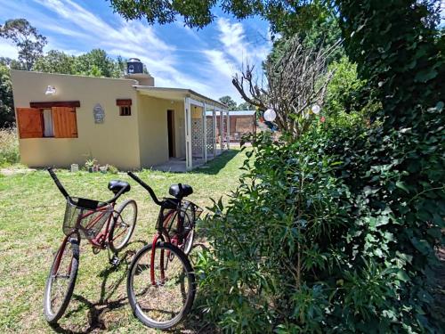 Attività di ciclismo presso il lodge o nelle vicinanze