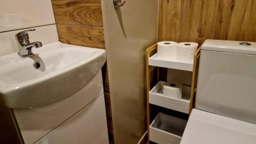 een badkamer met een wastafel en twee rollen toiletpapier bij Apartament Granatowy Chill in Łódź