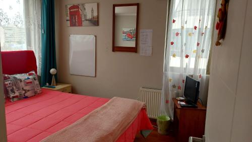 a bedroom with a bed and a tv in it at ARRIENDO HABITACIONES EXCLUSIVAS VIÑA CENTRO cerca del Mall Marina y de la Playa in Viña del Mar